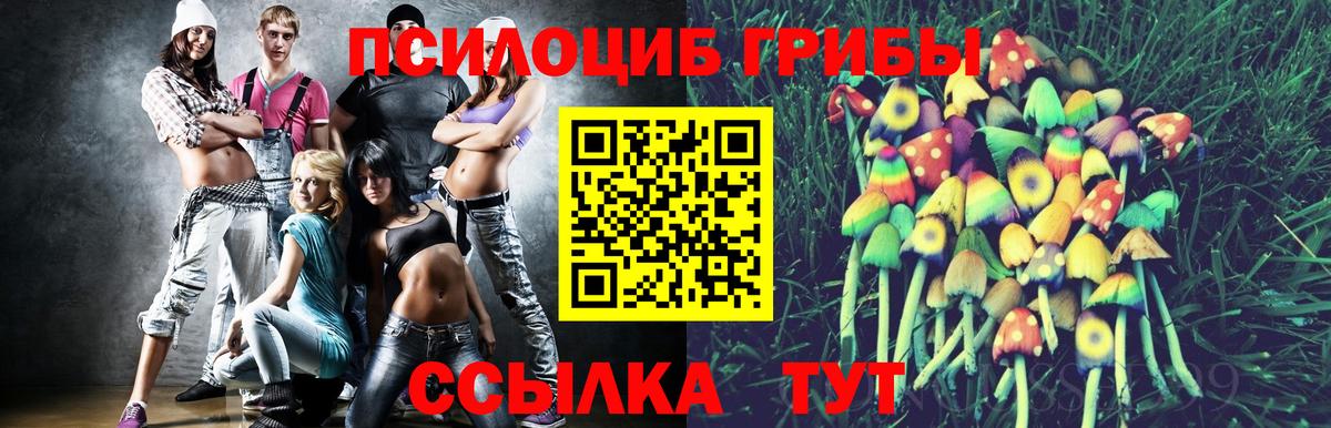 Алексеевка  Псилоцибиновые грибы MAGIC MUSHROOMS  Псилоцибиновые грибы Psilocybine cubensis  Вход с VPN 